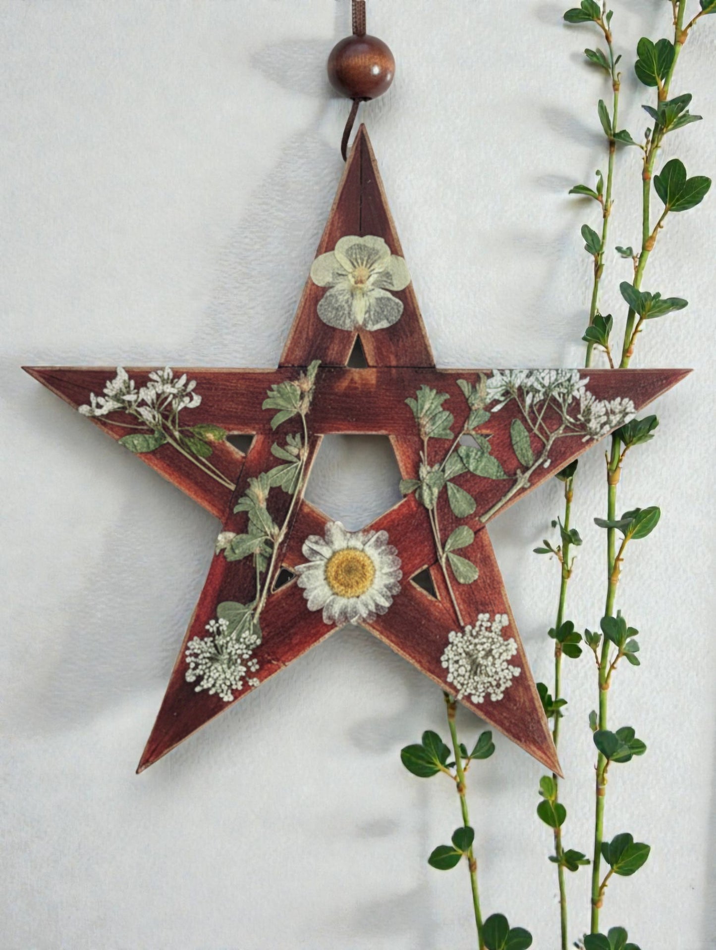 15cm Elemental Pentagram Home Blessings with Dried Flowers - 7