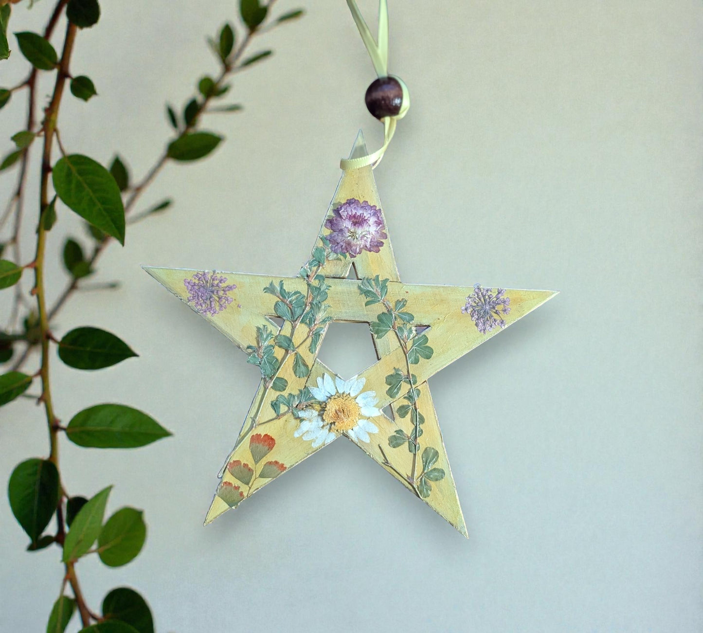 15cm Elemental Pentagram Home Blessings with Dried Flowers - 4