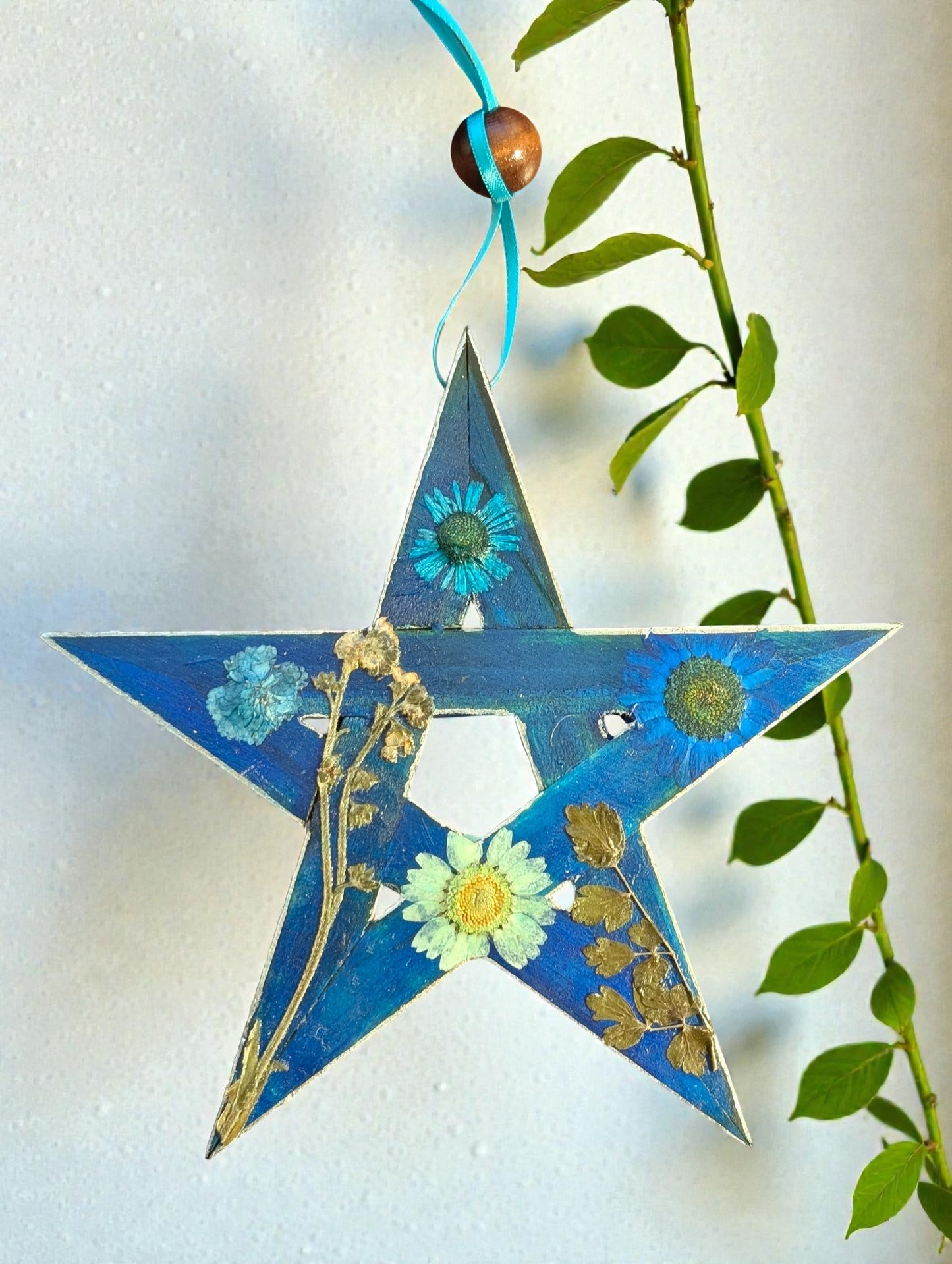 15cm Elemental Pentagram Home Blessings with Dried Flowers - 3